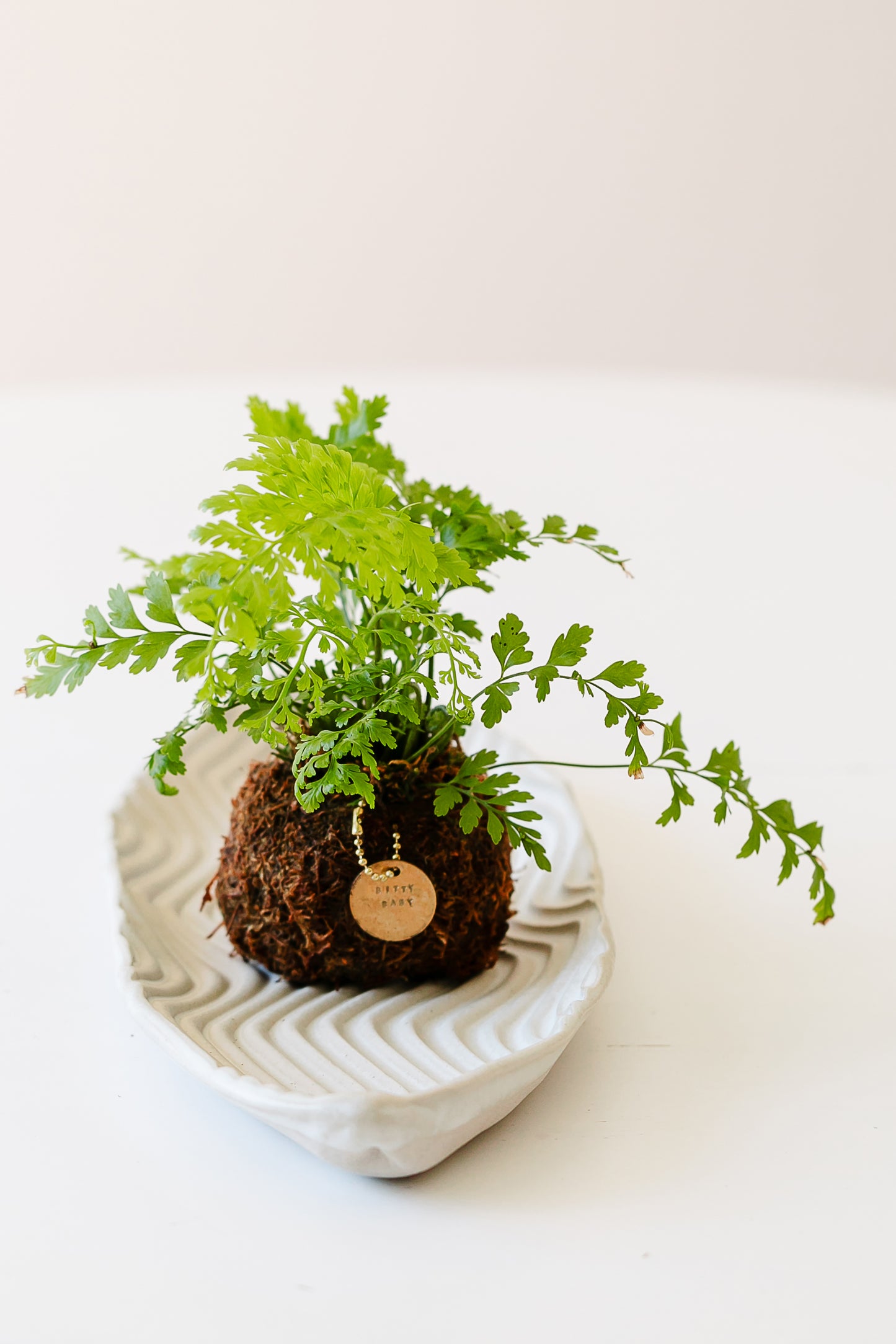 Bitty Baby® - Ferns