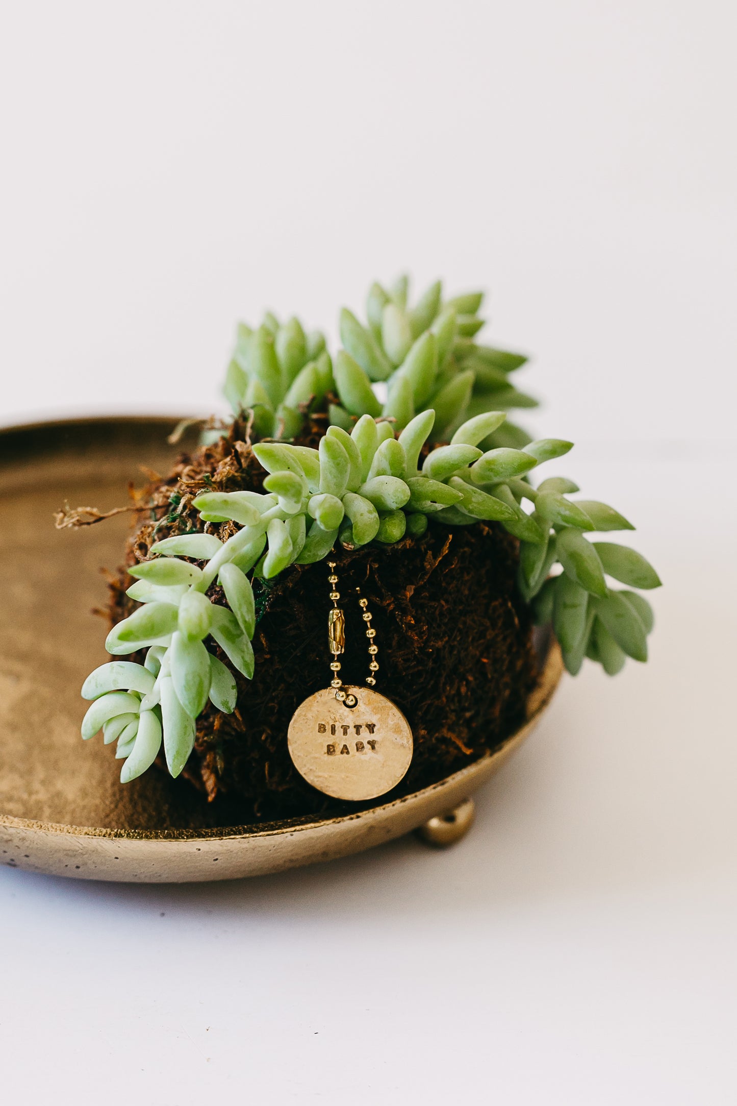 Bitty Baby® - Succulents