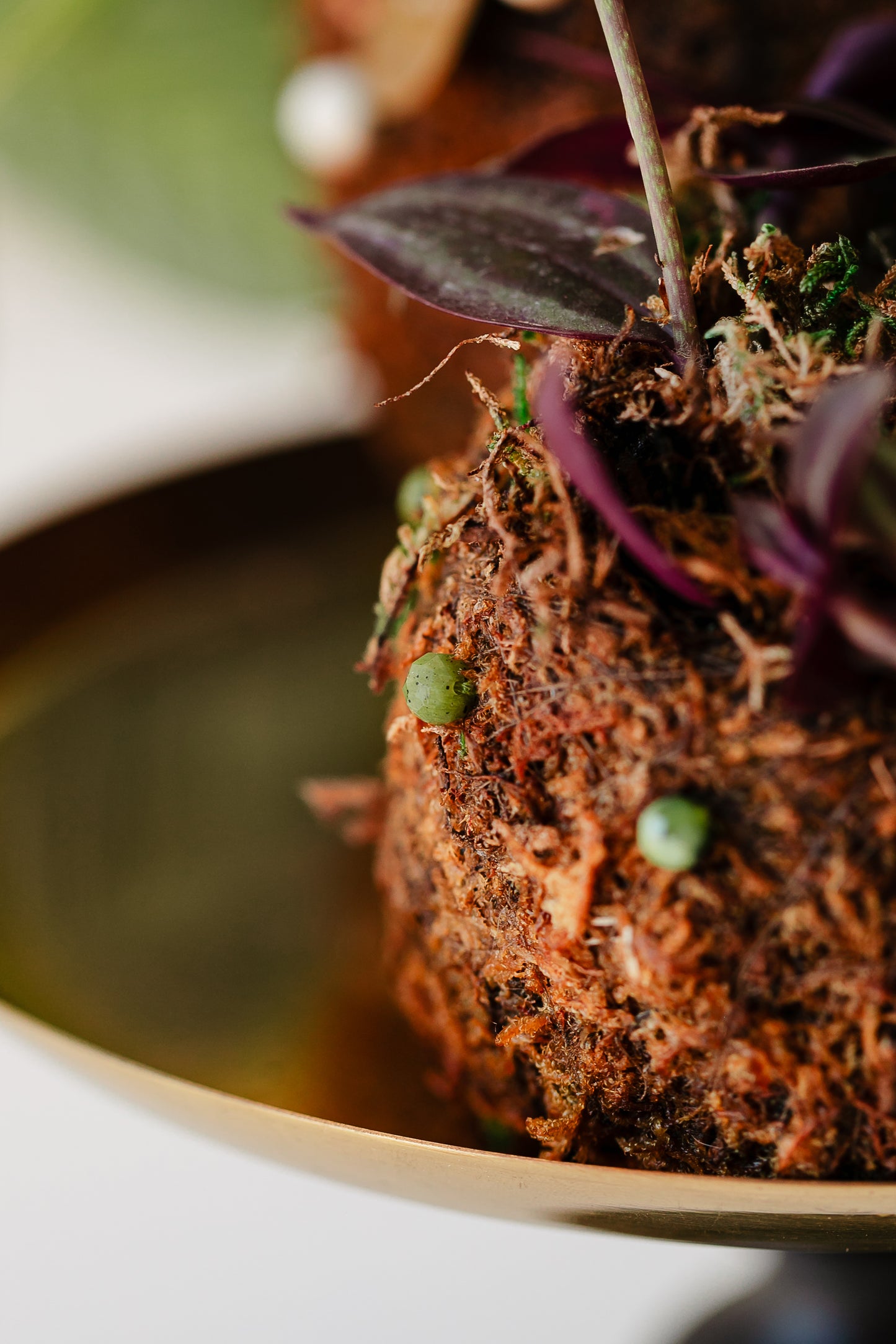 Bitty Baby® - Ferns