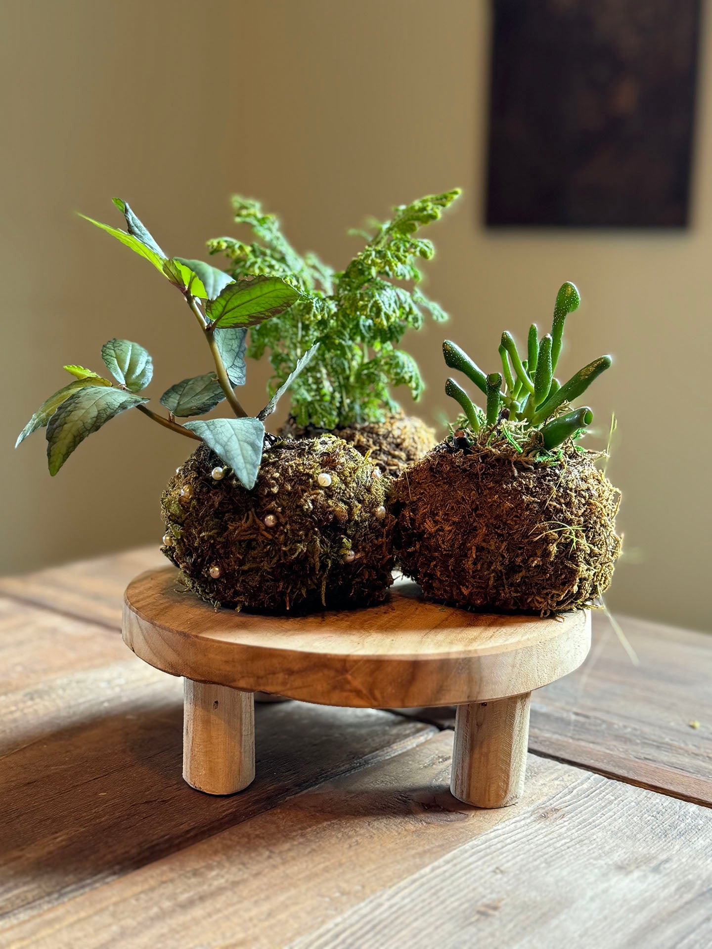 Bitty Baby® - Plants