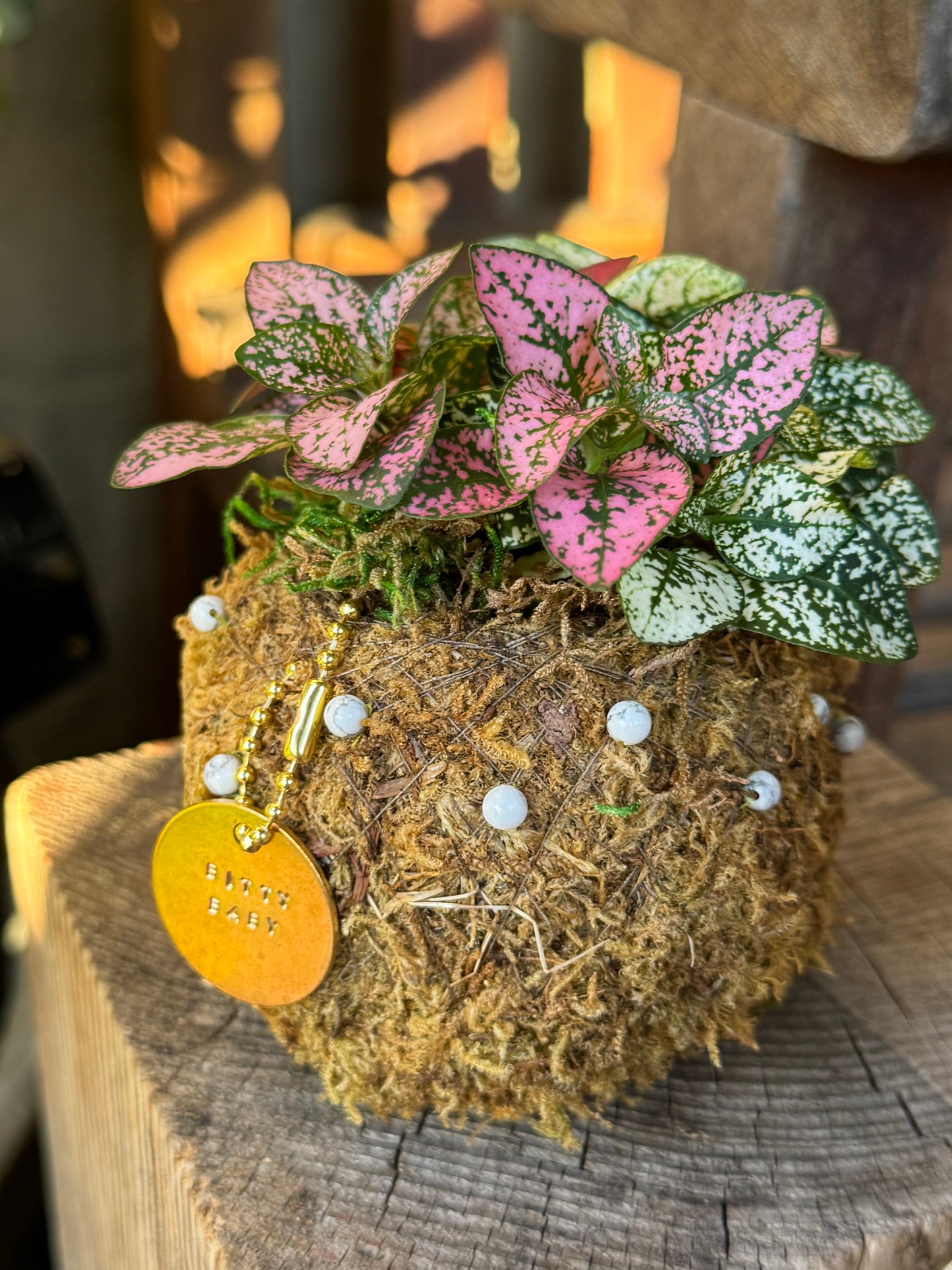 Bitty Baby® - Plants