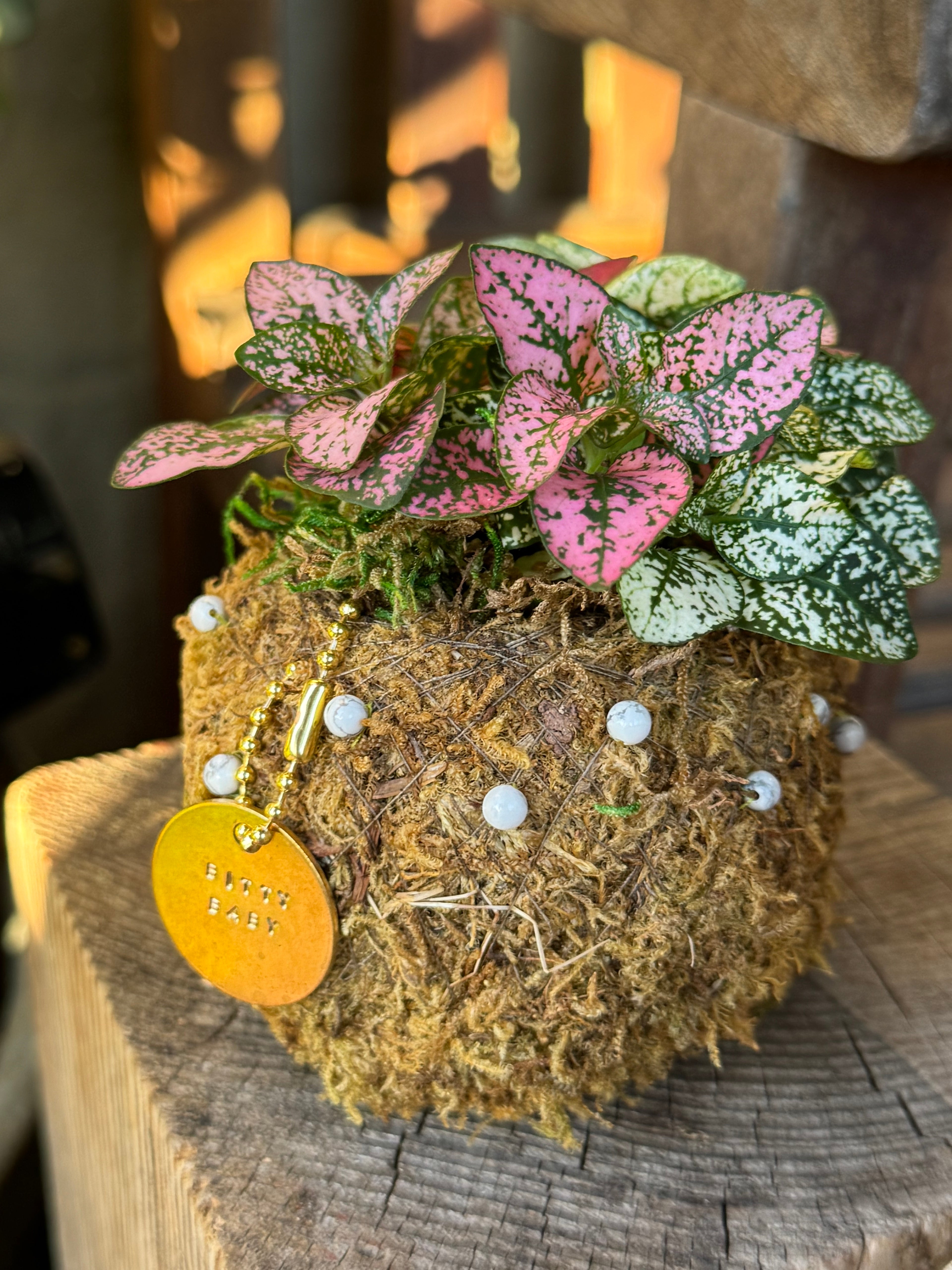 Bitty Baby® - Plants