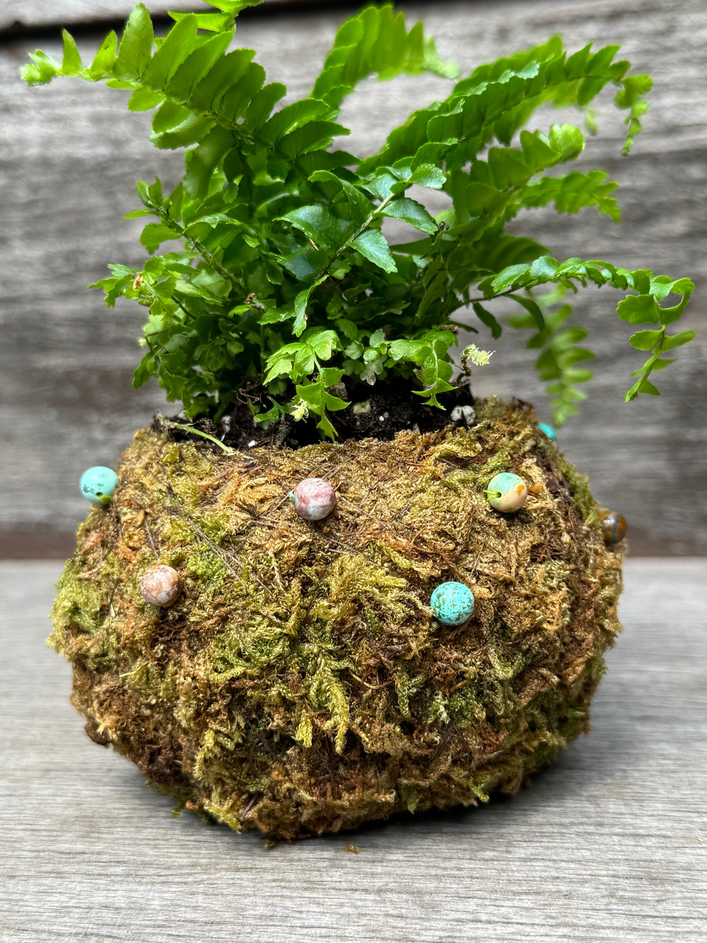 Bitty Baby® - Ferns