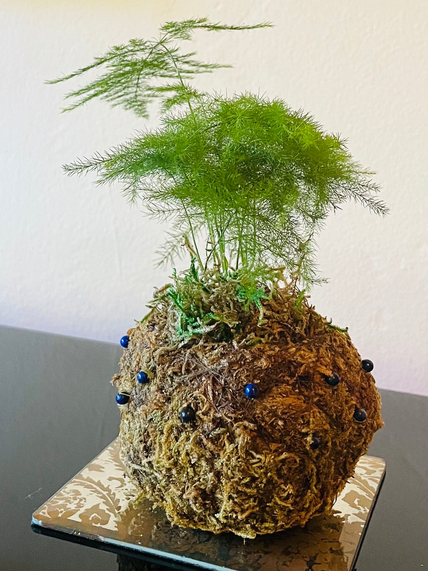 Bitty Baby® - Plants