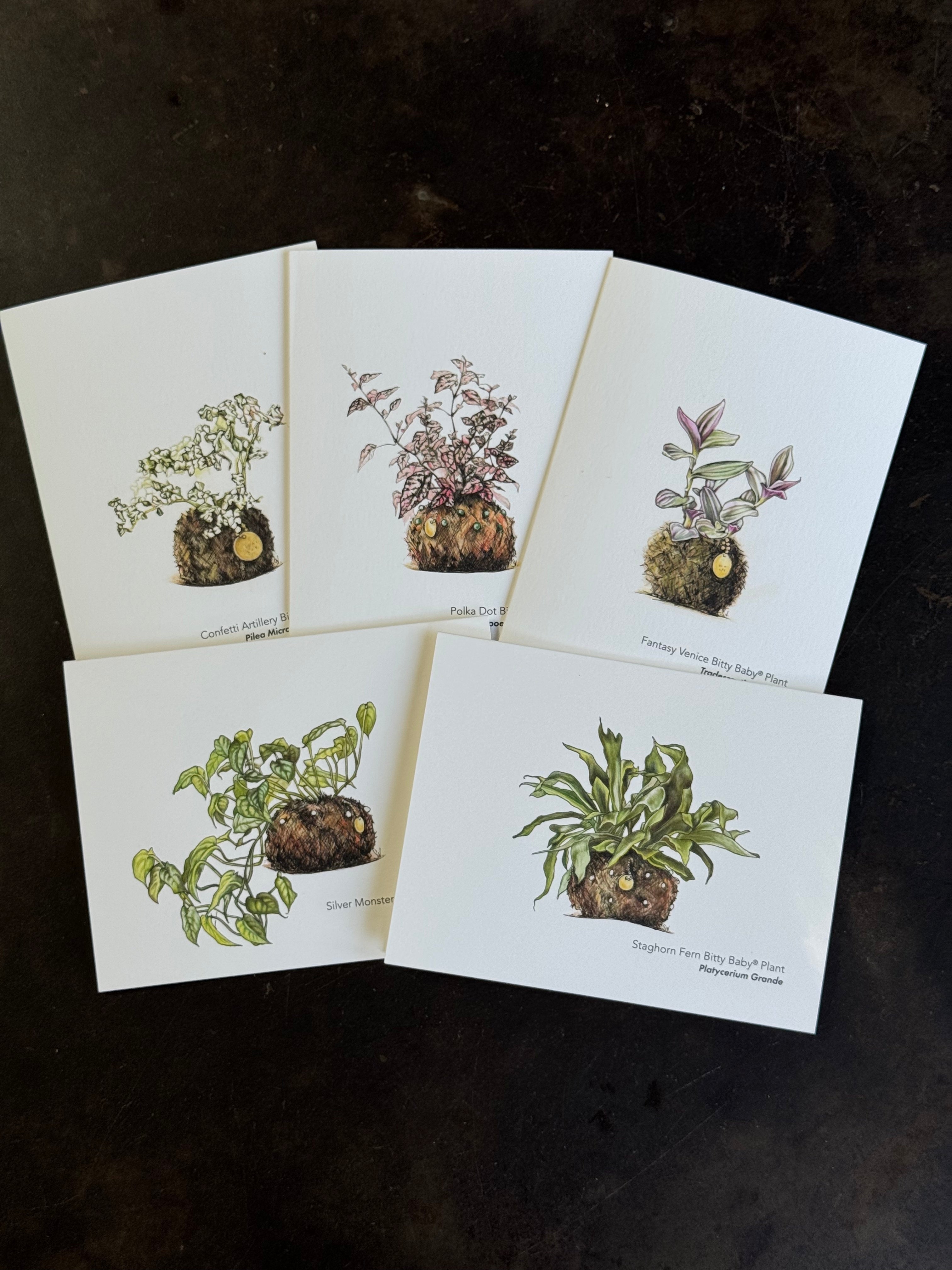 Bitty Baby® Greeting Cards