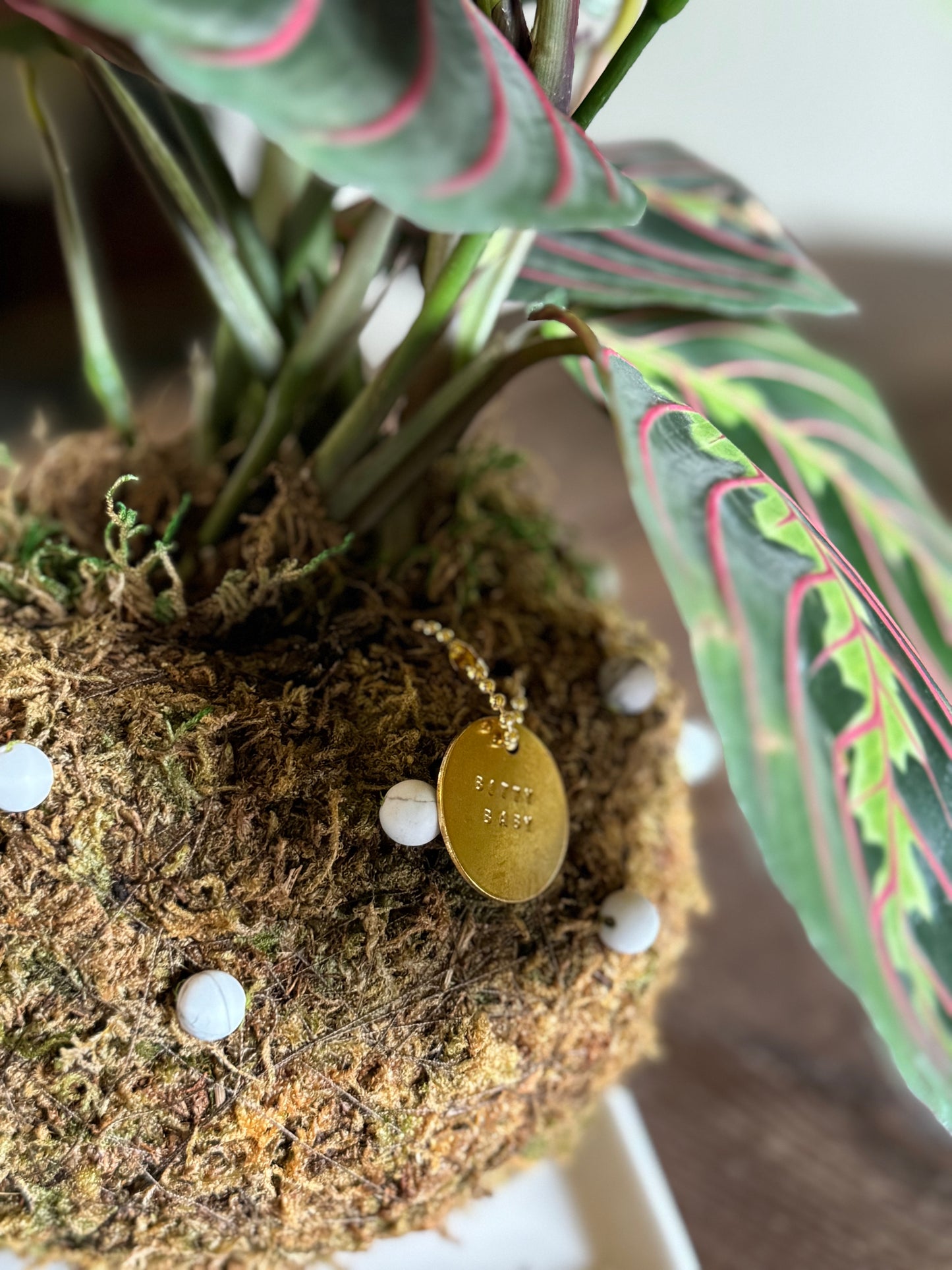 Bitty Baby® - Ferns